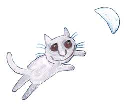 117 Gatto Battut Det 1