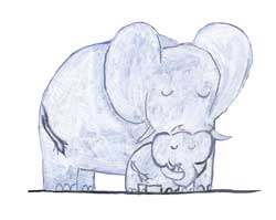 117 Gatto Battut Det 1